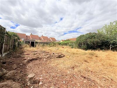 Picture 21